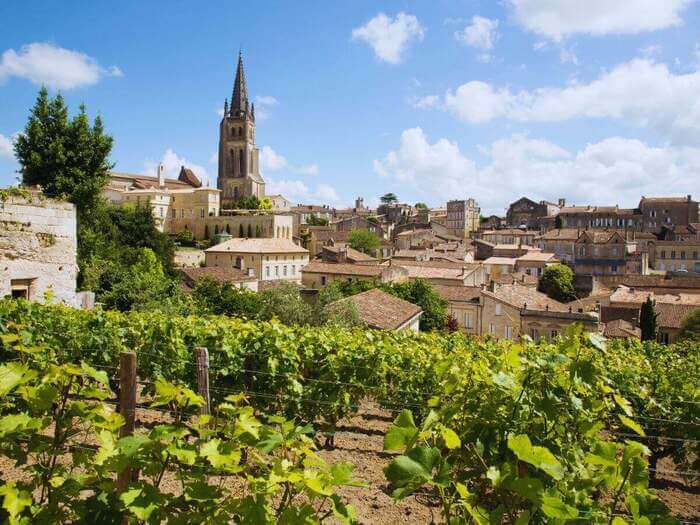 Bordeaux Wine Tour
